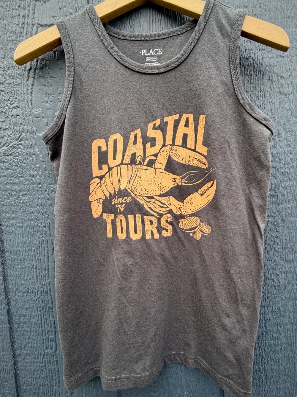 Place Charcoal Gray Tank Top with Peach Coastal Tours Graphic